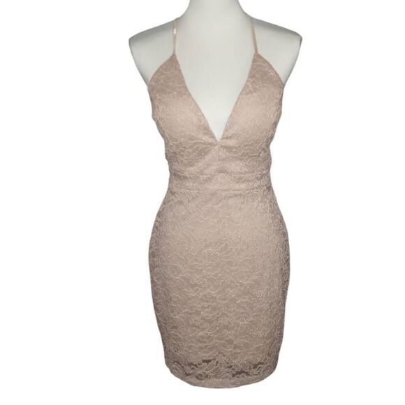 WINDSOR NATURAL/BLUSH LACE DRESS SZ.L NWT. - Picture 5 of 12
